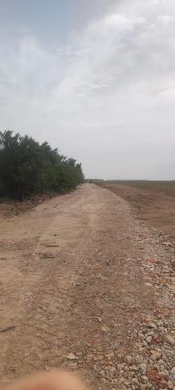 Teren Construcții intravilan de 5000 mp, în Tânganu