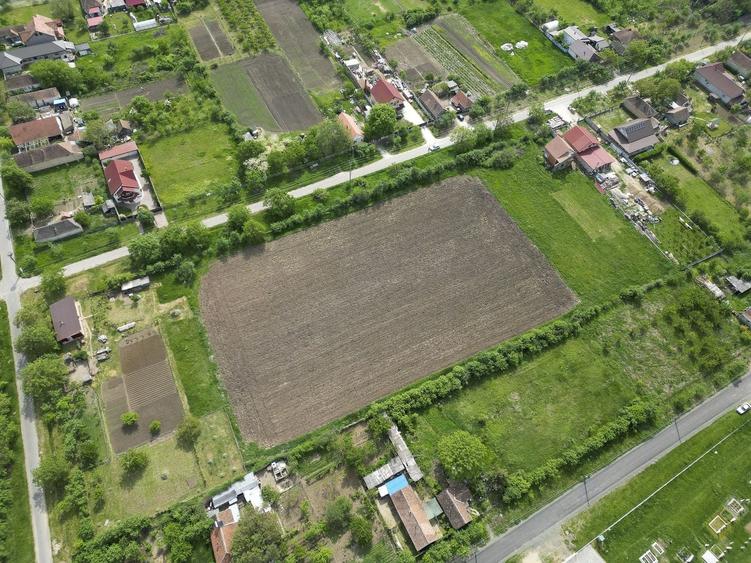Teren Construcții intravilan de 3090 mp, în Cuvin
