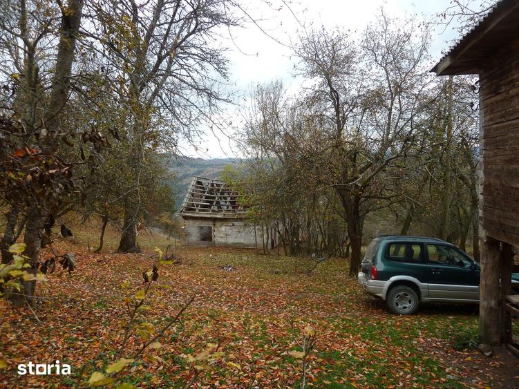 Teren de 44025 mp, în Scărișoara