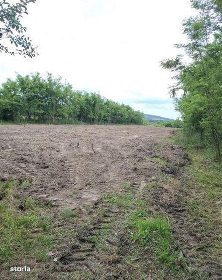 Teren de 3000 mp, în Cocorăștii Mislii