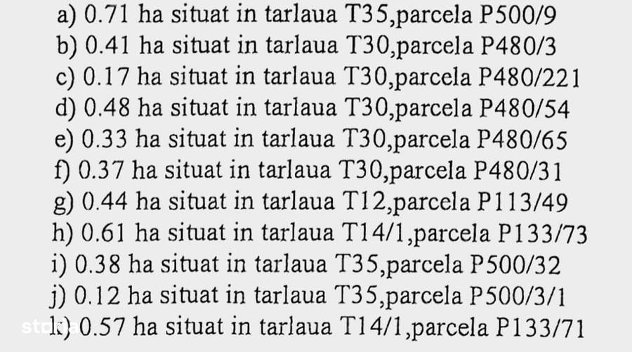 Spațiu comercial, în Herăști