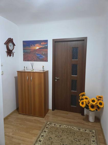 Garsonieră semidecomandată în Rovine