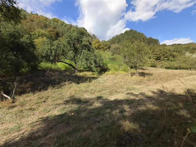 Teren agricol extravilan de 2500 mp, în Periferie
