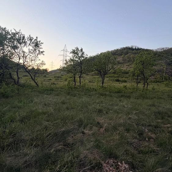 Teren de 4647 mp, în Cozia