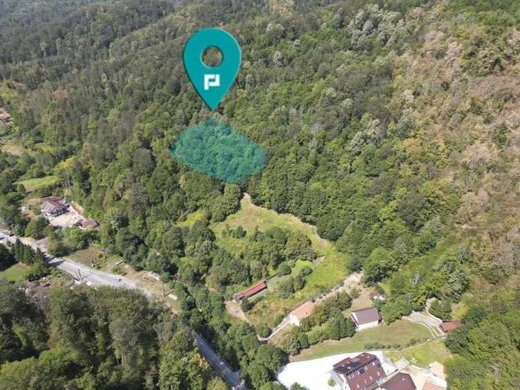 Teren intravilan de 1500 mp pe deal in Moneasa - 8