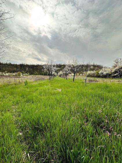 Casă cu Teren 2470 Mp în Mârțești