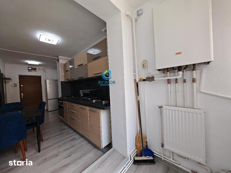 Inchiriem Apartament 2 Camere, Mobilat, Decomandat, Vlahuta - ITC - 11
