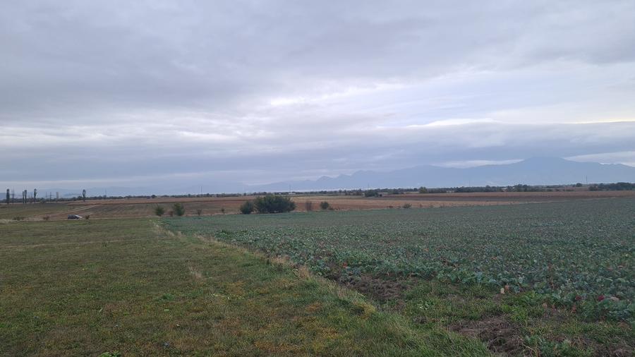 Teren agricol extravilan de 48100 mp, în Hălchiu