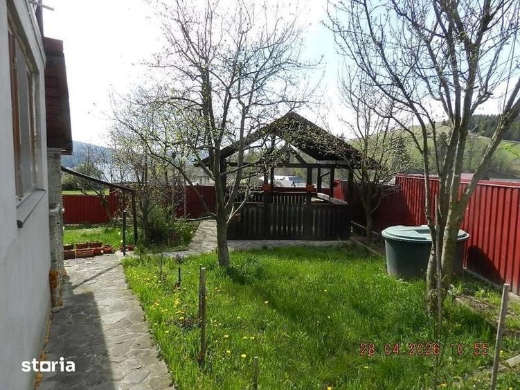 Proprietate in Bucovina - 8