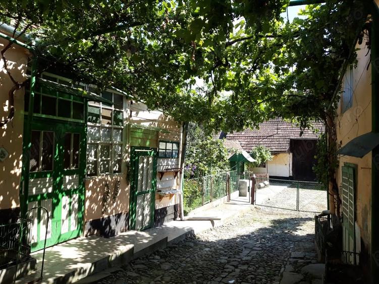 Casă cu 3 camere cu Teren 1000 Mp în Daia (Apold)