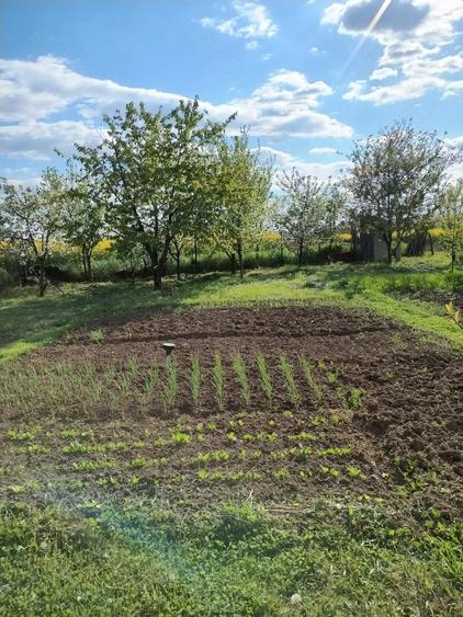 Casă cu Teren 1200 Mp în Central