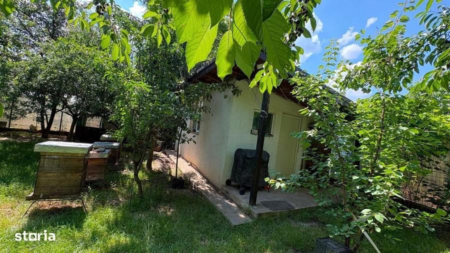 Casă cu 4 camere cu Teren 761 Mp în Aroneanu