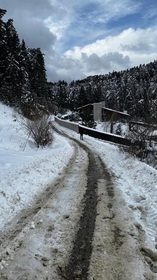 Teren Construcții intravilan de 3000 mp, în Exterior Sud