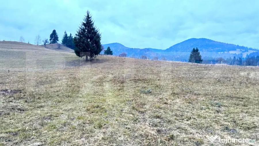 Teren de 2500 mp, în Colibița