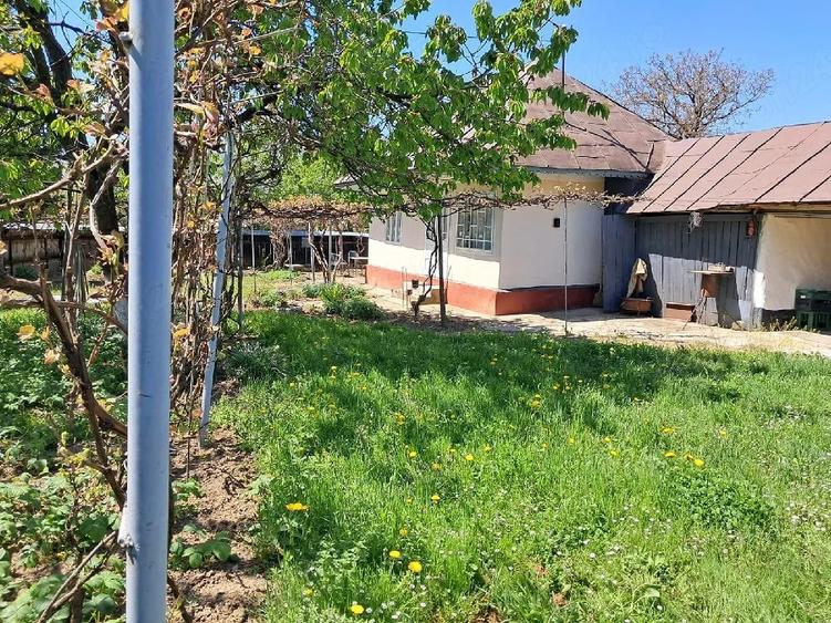 Teren de 3056 mp, în Central