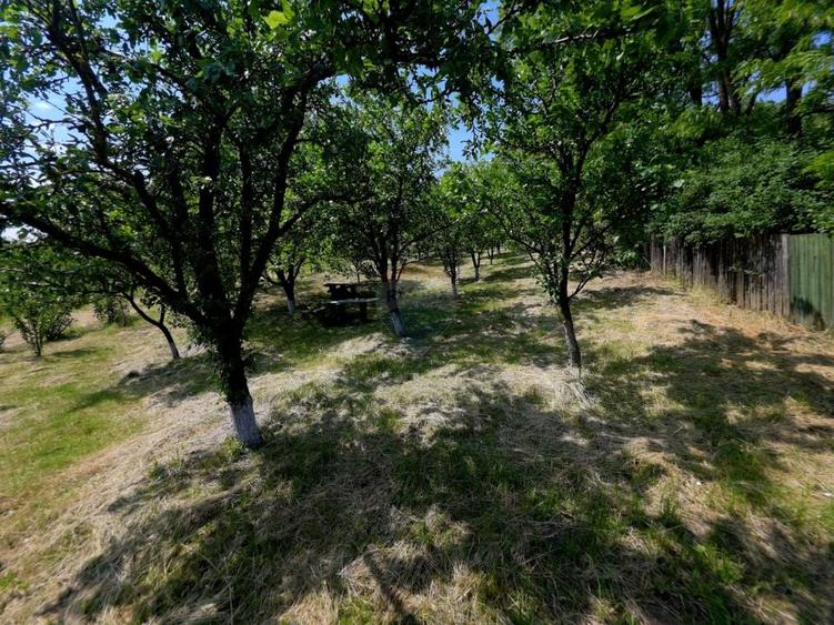 Teren Construcții intravilan de 4516 mp, în Doina
