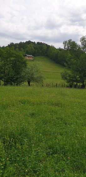 Teren agricol extravilan de 5000 mp, în Central