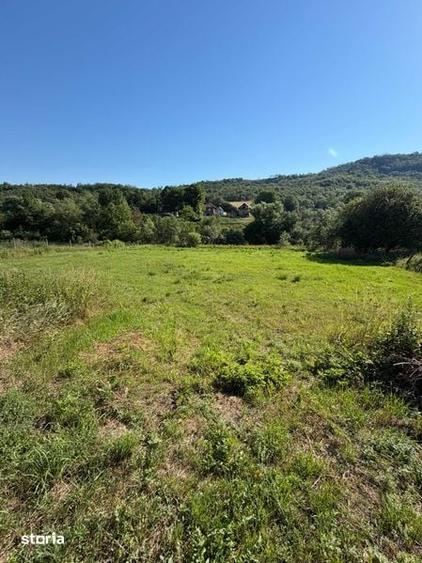 Casa de vanzare + curte 1900 m2 - 2