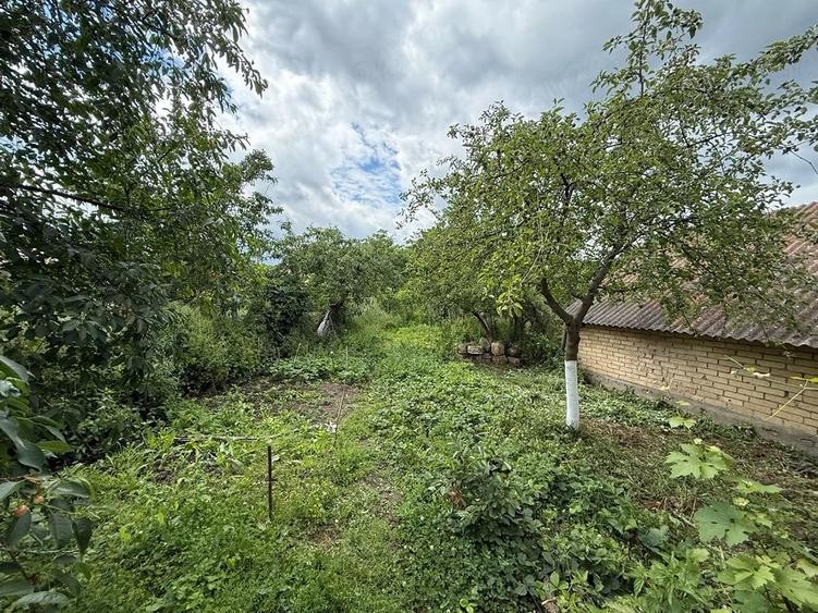 Casă cu Teren 470 Mp în Podeni