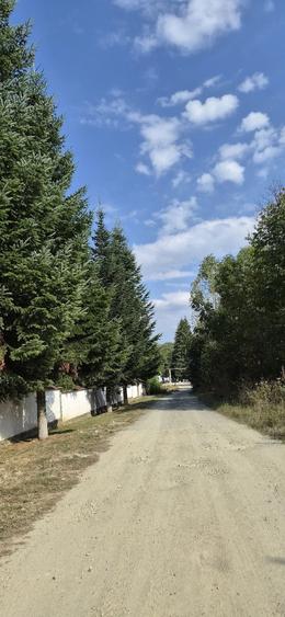 Teren de 2500 mp, în Dejani