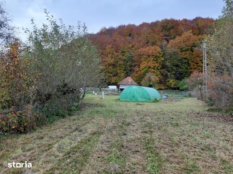 Casă cu 2 camere cu Teren 3500 Mp în Noua