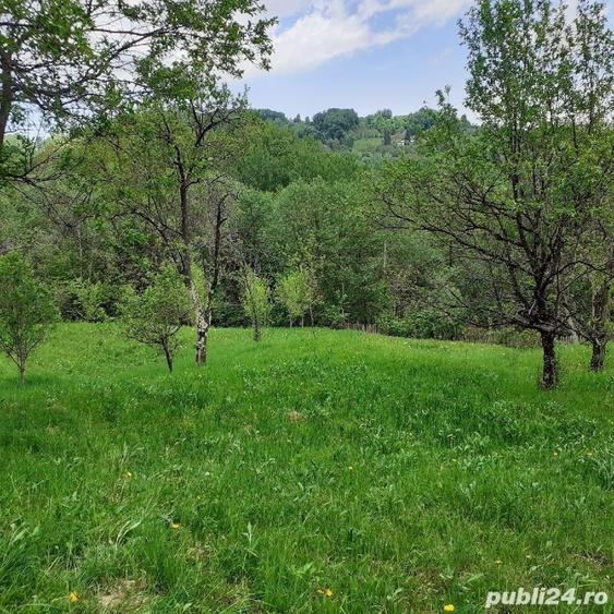 Teren de 5150 mp, în Șotrile