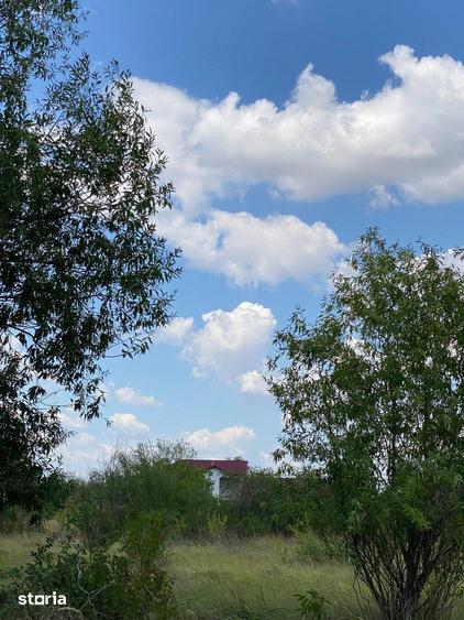Trestieni - Ulmi, vanzare teren 1.663mp, intravilan - 18