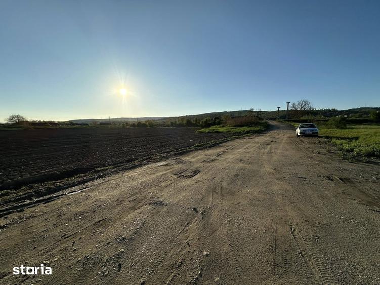 Teren de 10000 mp, în Târnăveni