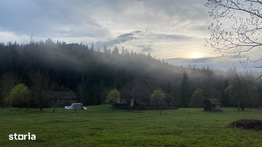 Teren de 55000 mp, în Coșna