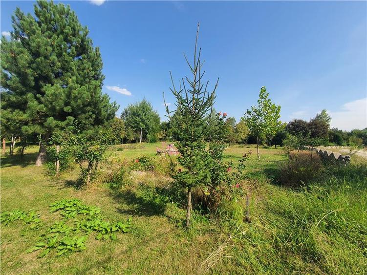 Teren agricol intravilan de 900 mp, în Săcel