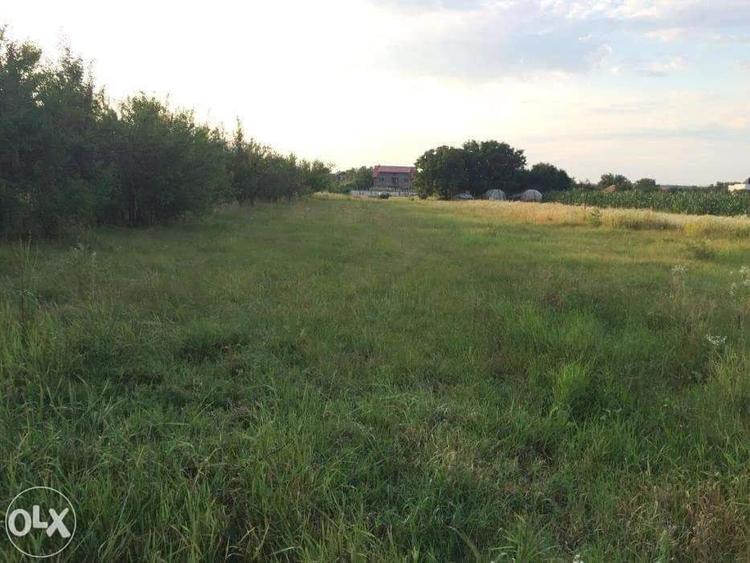 Teren Construcții intravilan de 3277 mp, în Ciofliceni