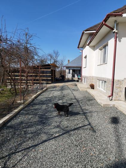 Casă cu 4 camere în Finteușu Mare