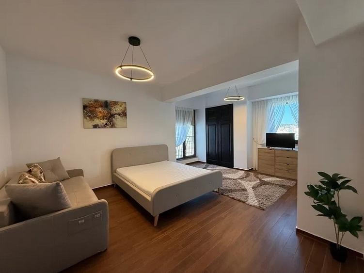 Apartament 1 camera zona Pacurari - 1