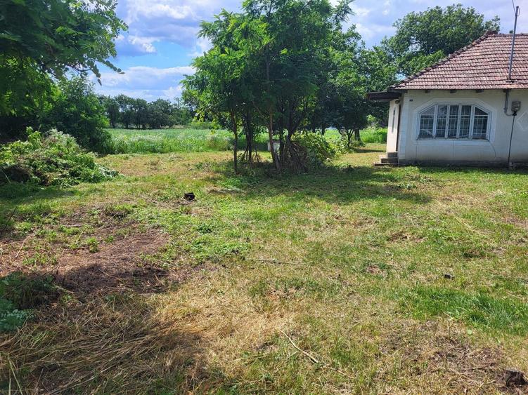 Casă cu 3 camere în Central