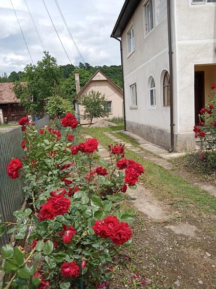 Casă cu 4 camere în Central