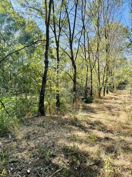 Teren de 5000 mp, în Valea Părului