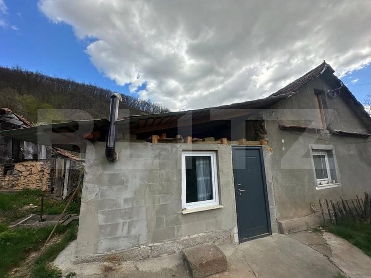 Casă individuală cu 4 camere cu Teren 21369 Mp în Boiu