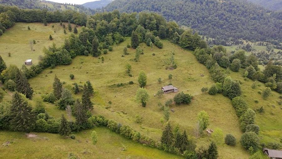Teren de 30000 mp, în Șanț