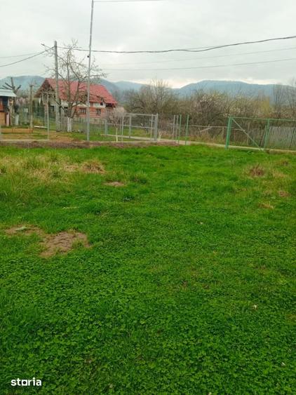 Teren de 2600 mp, în Domnești