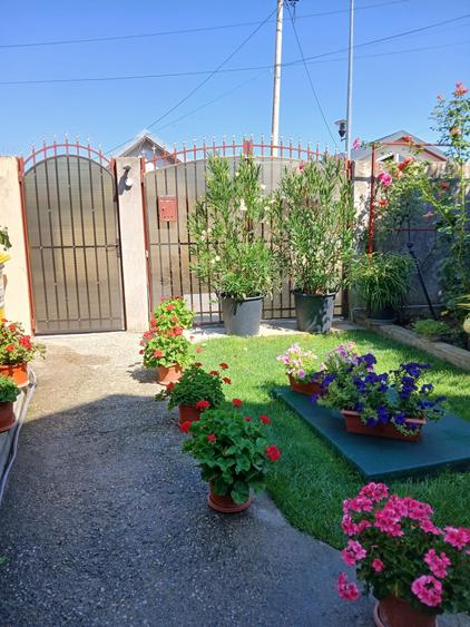 Casă cu 8 camere cu Canalizare în Voluntari