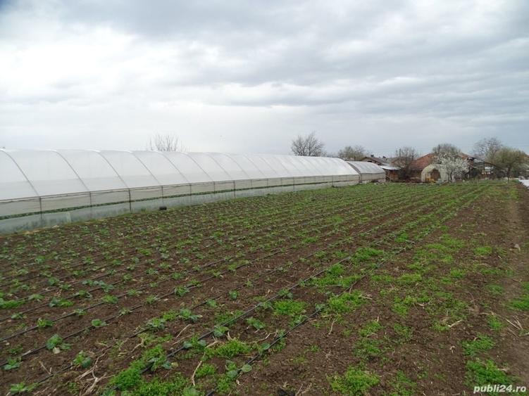 Casă cu Teren 2930 Mp în Giuvărăști