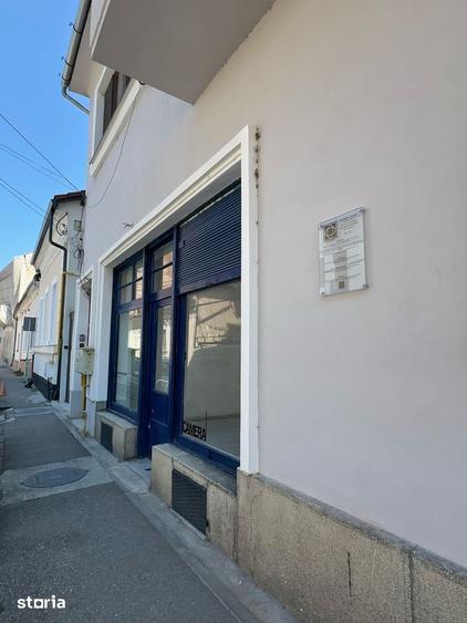 Apartament de inchiriat pet friendly central Albert Einstein Cluj - 8