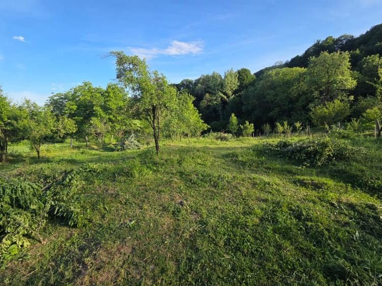 Casă cu 2 camere cu Teren 2100 Mp în Buzdugan