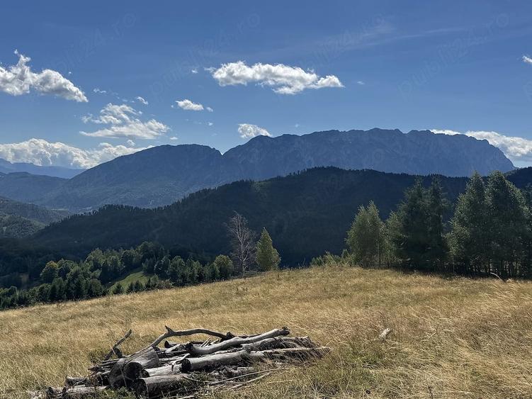 Teren de 15733 mp, în Poiana Mărului