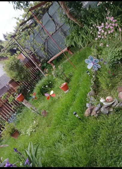 Casă cu 3 camere cu Teren 280 Mp în Central