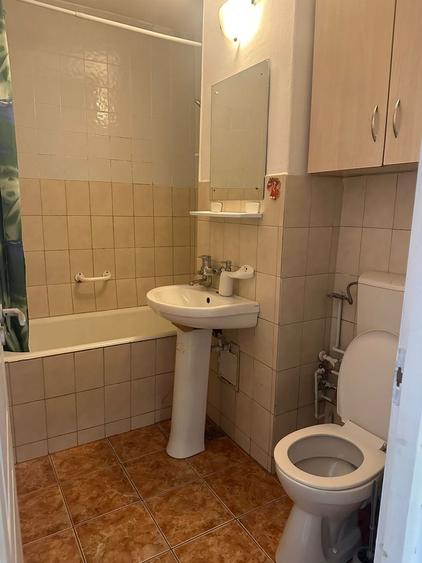 Apartament cu o camera de inchiriat Nufarul - 6
