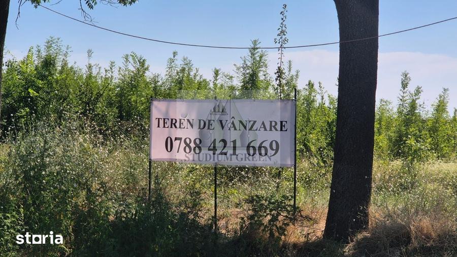 Teren de 12828 mp, în Est