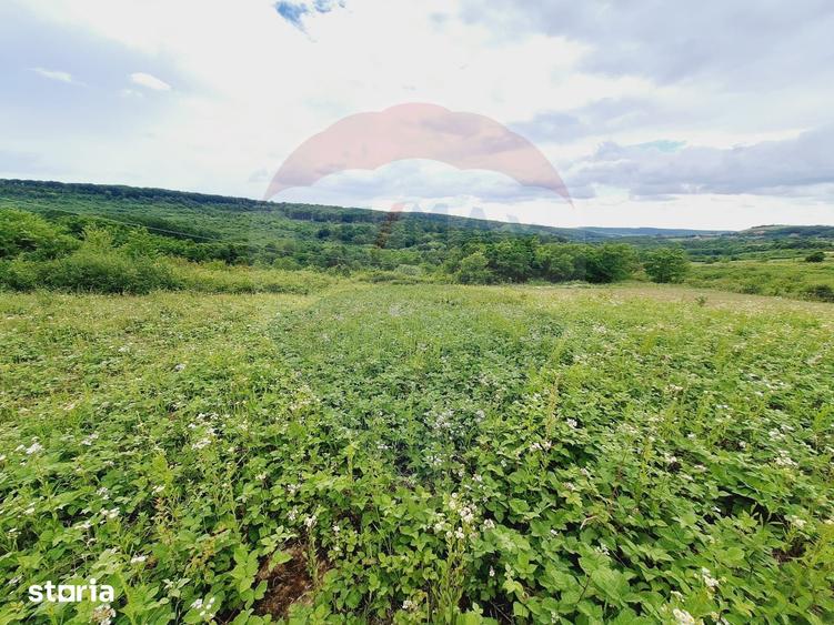 Teren de 5755 mp, în Hidiș