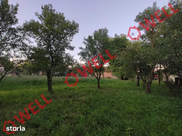 Teren de 1800 mp, în Valea Crișului