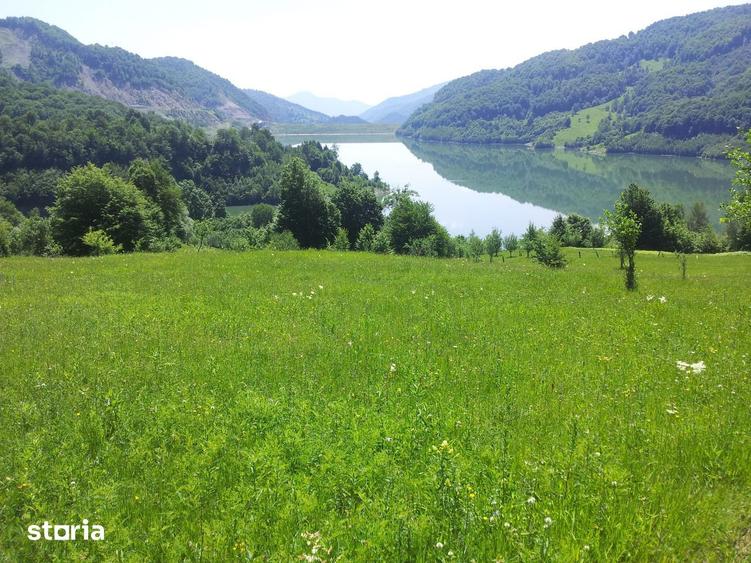 Teren de 73000 mp, în Siriu